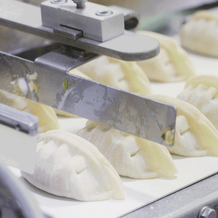 Close-up of uncooked dumplings aligned on a conveyor belt, moving through an automated production line in a food processing facility.
